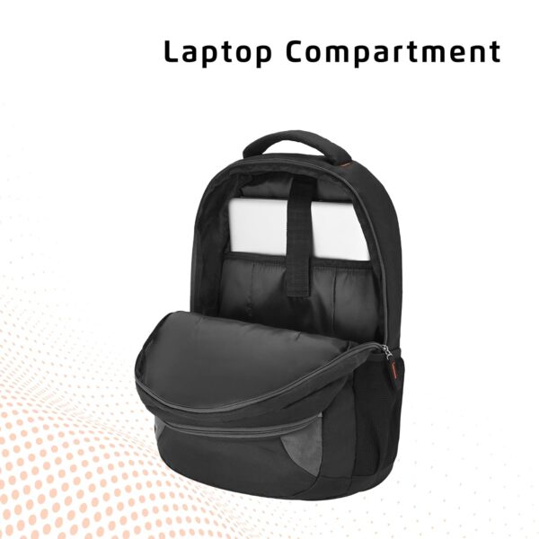 Safari Omega spacious